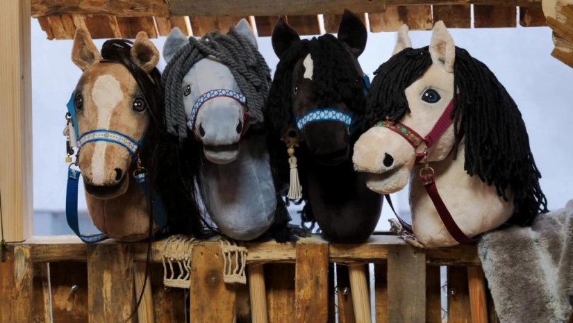 Qué es montar a caballo aficionado o por qué la gente salta sobre palos Qué es montar a caballo aficionado o por qué la gente salta sobre palos