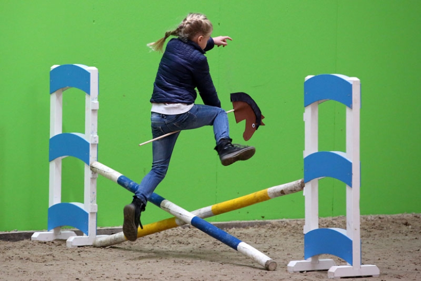Qué es montar a caballo aficionado o por qué la gente salta sobre palos Qué es montar a caballo aficionado o por qué la gente salta sobre palos
