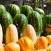 ¿Qué es más saludable, la sandía o el melón?