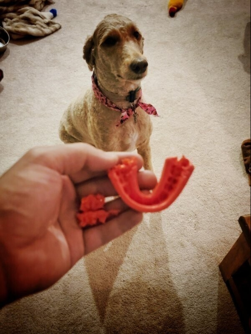 ¿Qué es un mal día? 22 casos en los que el destino se volvió hacia atrás ¿Qué es un mal día? 22 casos en los que el destino se volvió hacia atrás