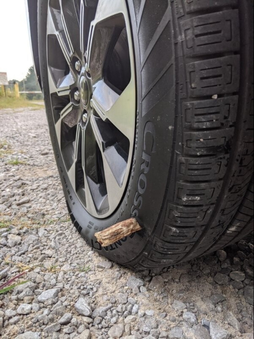 ¿Qué es un mal día? 22 casos en los que el destino se volvió hacia atrás ¿Qué es un mal día? 22 casos en los que el destino se volvió hacia atrás