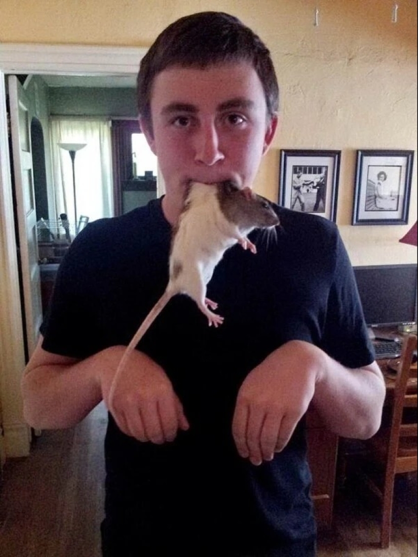 ¿Qué haces aquí?"22 extrañas fotos que se puzzle a nadie