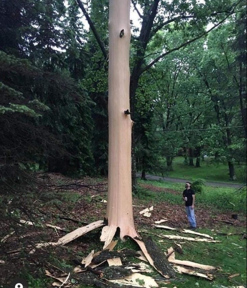 ¡Qué hermoso es este mundo, mira! 22 fotos interesantes sobre todo en el mundo ¡Qué hermoso es este mundo, mira! 22 fotos interesantes sobre todo en el mundo