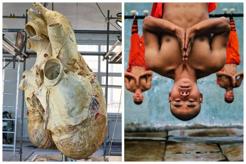 "Que interesante!": 20 inusual, sorprendente y sólo hechos interesantes "Que interesante!": 20 inusual, sorprendente y sólo hechos interesantes