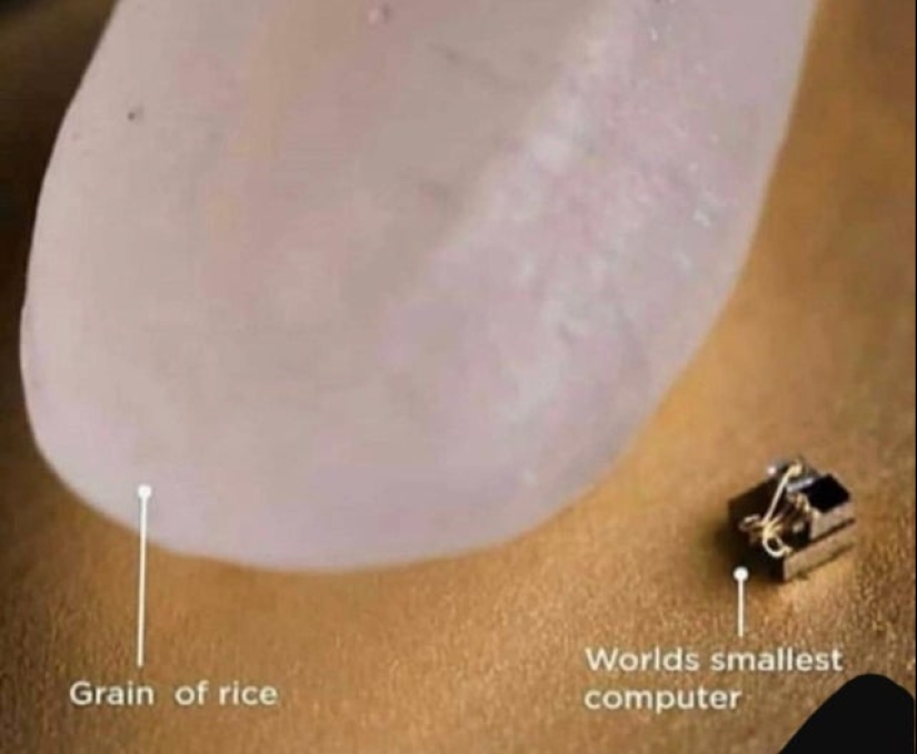 "Que interesante!": 20 inusual, sorprendente y sólo hechos interesantes "Que interesante!": 20 inusual, sorprendente y sólo hechos interesantes