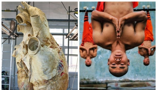 "Que interesante!": 20 inusual, sorprendente y sólo hechos interesantes