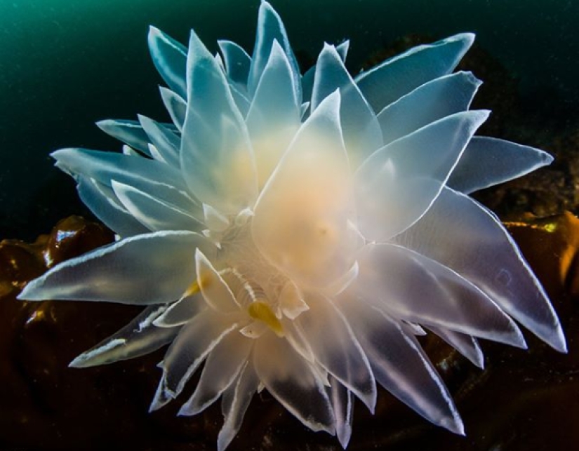 "Que interesante!": 20 inusual, sorprendente y sólo hechos interesantes "Que interesante!": 20 inusual, sorprendente y sólo hechos interesantes