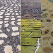 Qué le sucede al suelo cuando se congela y luego se descongela