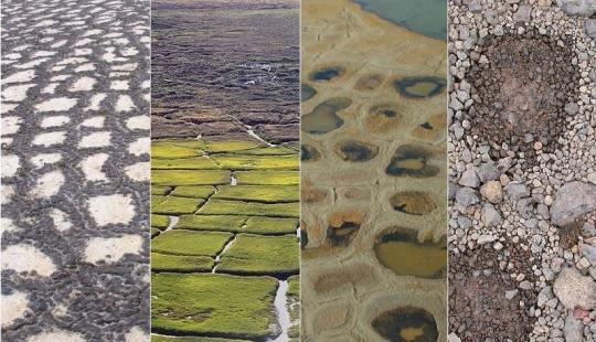 Qué le sucede al suelo cuando se congela y luego se descongela