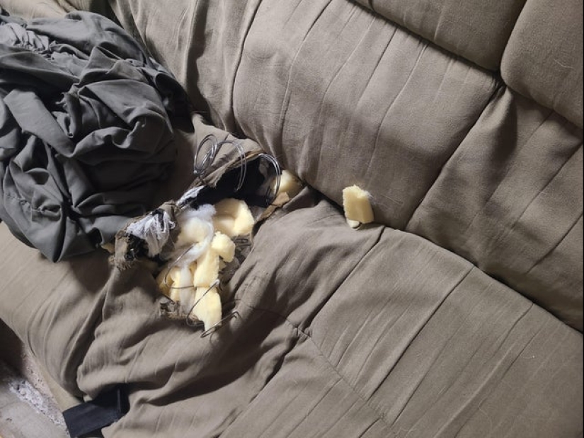 ¿Qué sabes de fracasos? 22 fotos de "personas afortunadas"reales ¿Qué sabes de fracasos? 22 fotos de "personas afortunadas"reales