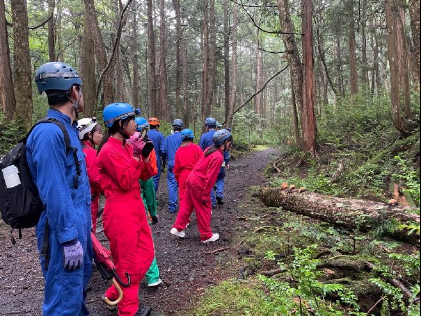 ¿Qué se esconde tras Aokigahara? El bosque de los suicidios en el corazón de Japón