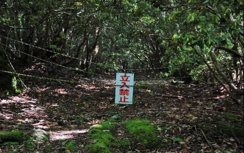 ¿Qué se esconde tras Aokigahara? El bosque de los suicidios en el corazón de Japón