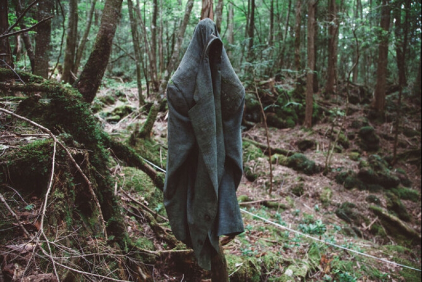 ¿Qué se esconde tras Aokigahara? El bosque de los suicidios en el corazón de Japón