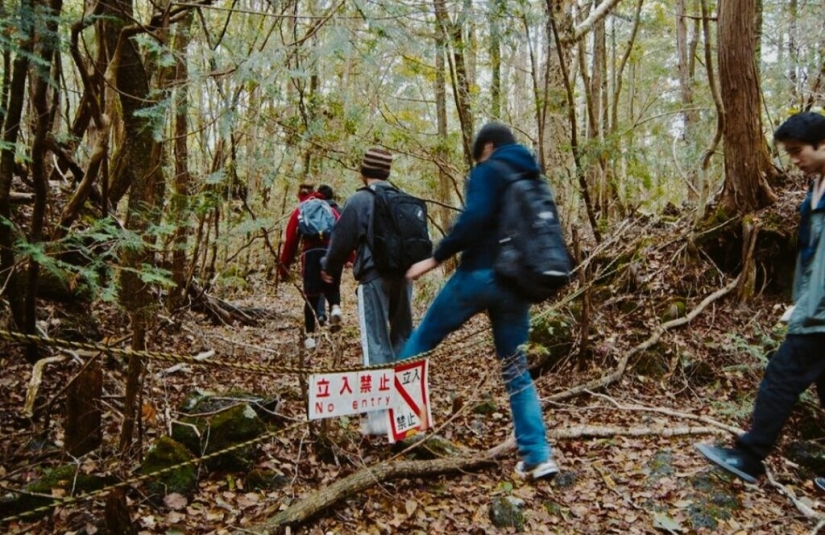 ¿Qué se esconde tras Aokigahara? El bosque de los suicidios en el corazón de Japón