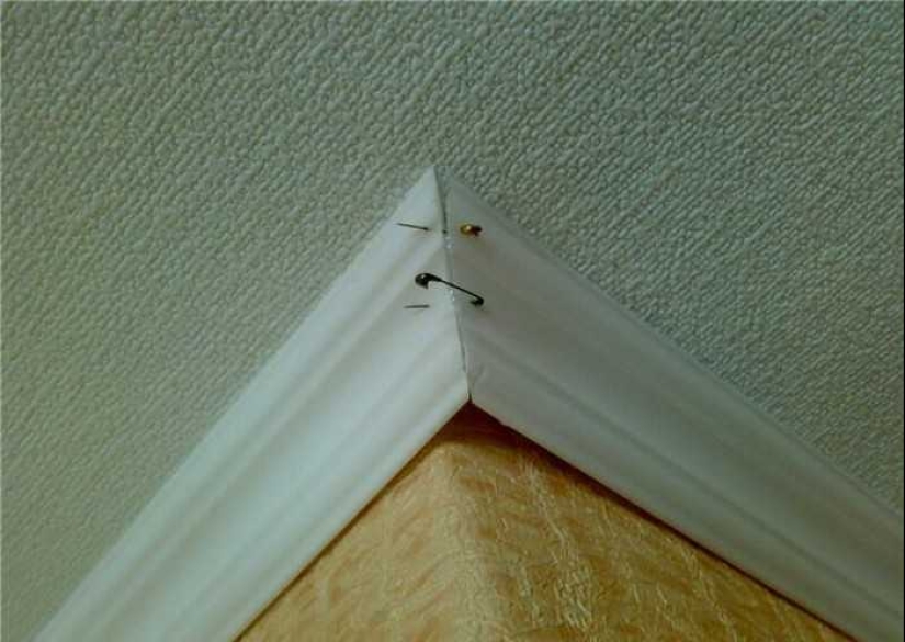 ¿Qué te parece esto, Elon Musk: 22 inventos dudosos de genios domésticos?