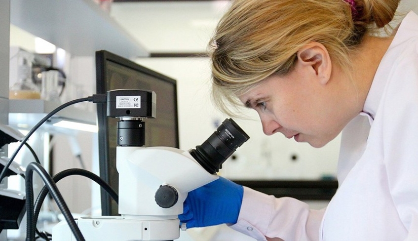 Quesos glaseados: ¿cuál es el peligro de un manjar popular con nosotros