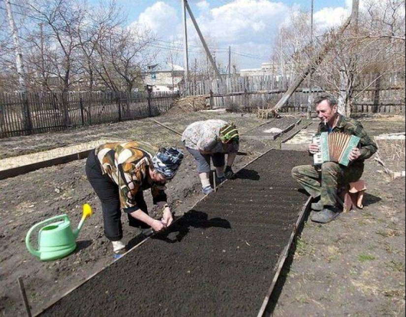 Quien dijo que el sexo débil es una mujer? Aquí están 13 photoproofs inversa