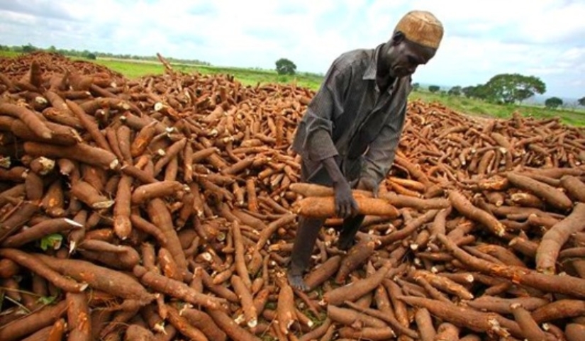 Quinientos millones de personas en la Tierra consumen un producto mortal Quinientos millones de personas en la Tierra consumen un producto mortal