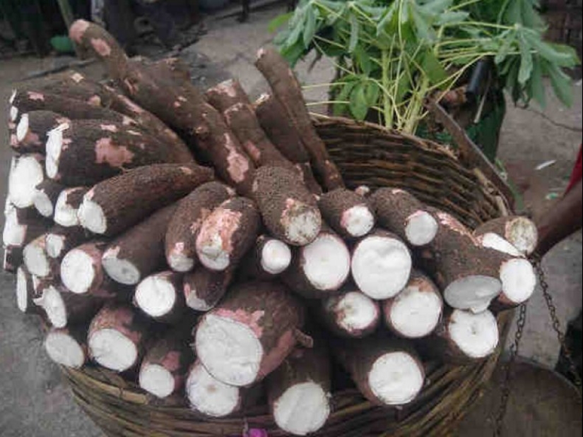 Quinientos millones de personas en la Tierra consumen un producto mortal Quinientos millones de personas en la Tierra consumen un producto mortal