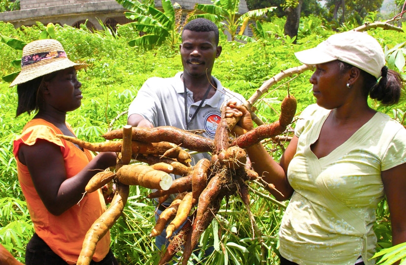 Quinientos millones de personas en la Tierra consumen un producto mortal Quinientos millones de personas en la Tierra consumen un producto mortal