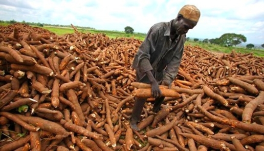 Quinientos millones de personas en la Tierra consumen un producto mortal