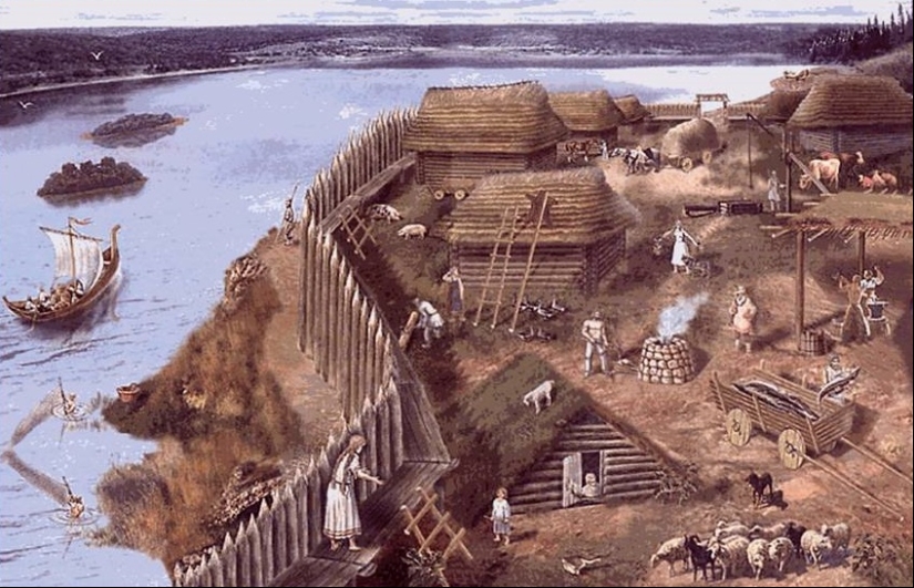 Quinoa, bear meat, sterlet and other delights of Old Slavic cuisine Quinoa, bear meat, sterlet and other delights of Old Slavic cuisine