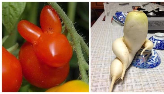 Rábano de fantasía y otras frutas-verduras que han olvidado que son plantas