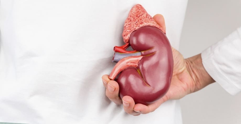 Read your teeth! 5 signs of diseases that can be found in the mouth Read your teeth! 5 signs of diseases that can be found in the mouth