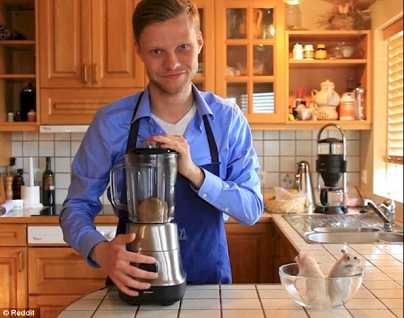 Real photos or still optical illusion Real photos or still optical illusion