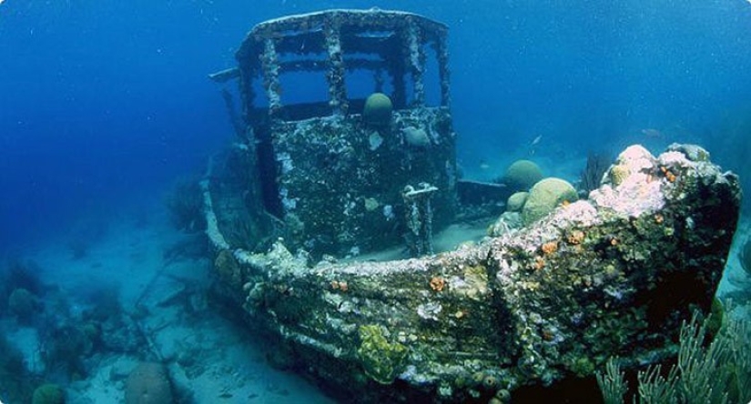 Realidad o ficción: 20 de las mejores investigaciones de Cazadores de mitos