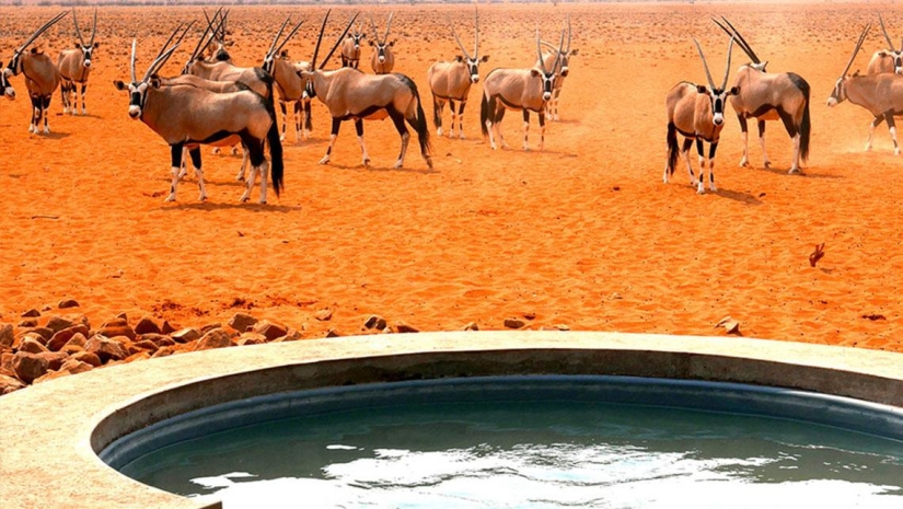 Recumbent excursions: 9 best baths on the planet Recumbent excursions: 9 best baths on the planet