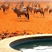 Recumbent excursions: 9 best baths on the planet