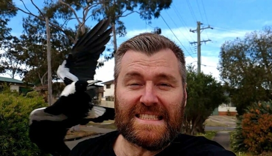 Reddit users responded to the question: "What is normal in your country and it seems super-weird to foreigners" Reddit users responded to the question: "What is normal in your country and it seems super-weird to foreigners"