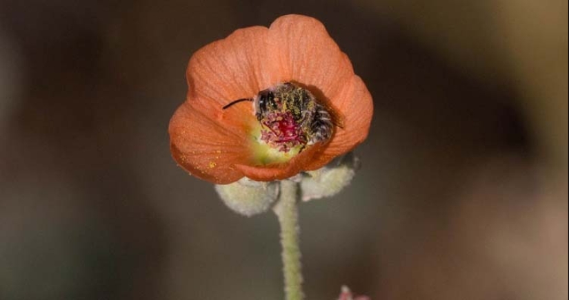 Relajarse! 10 datos que va a calmar y deleite