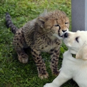 Relax! 10 facts that will soothe and delight