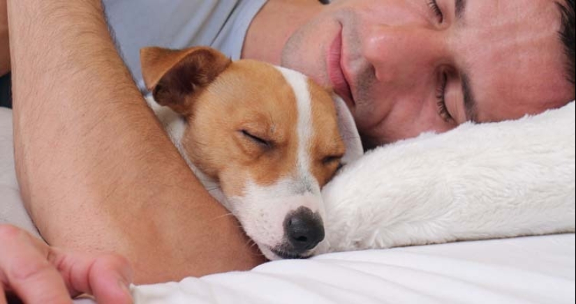 Relax! 10 facts that will soothe and delight