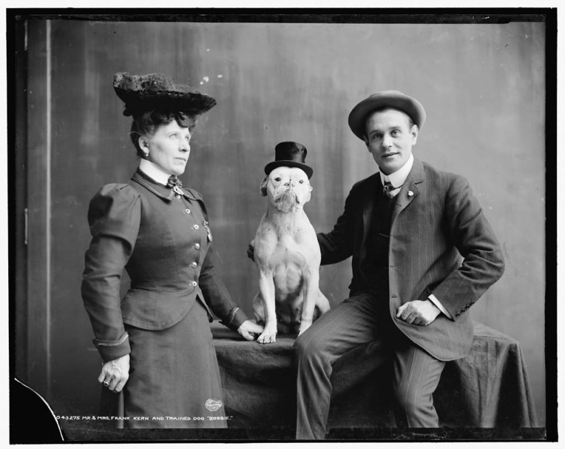 Retro photos of animals Retro photos of animals