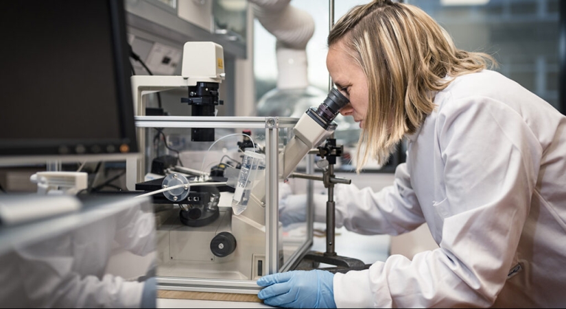 Reusable plastic bottles turned out to be dangerous for humans Reusable plastic bottles turned out to be dangerous for humans