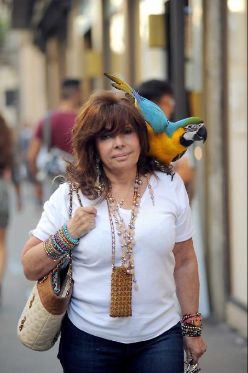 Revenge of the "Black Widow": How love and money ruined the heir to the Gucci empire