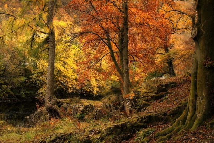 Roger Merrifield's Parallel Worlds