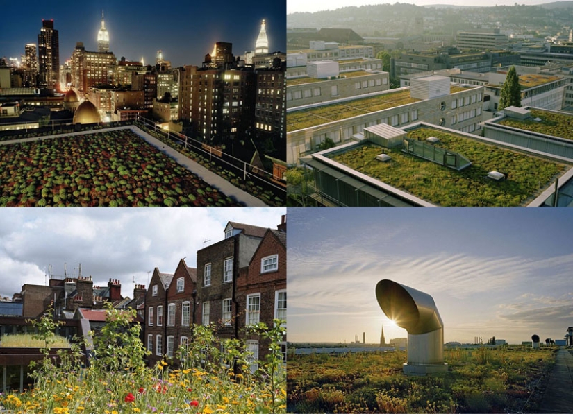 Roof Gardens Roof Gardens