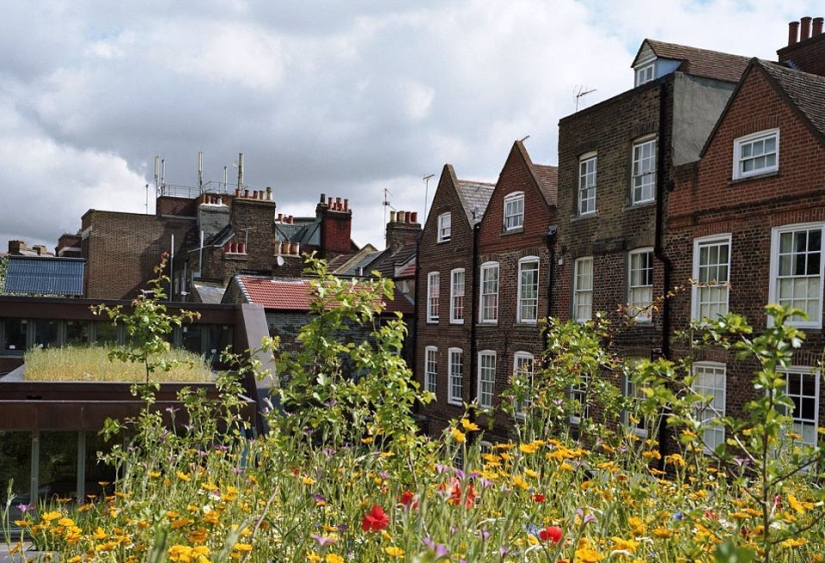Roof Gardens Roof Gardens