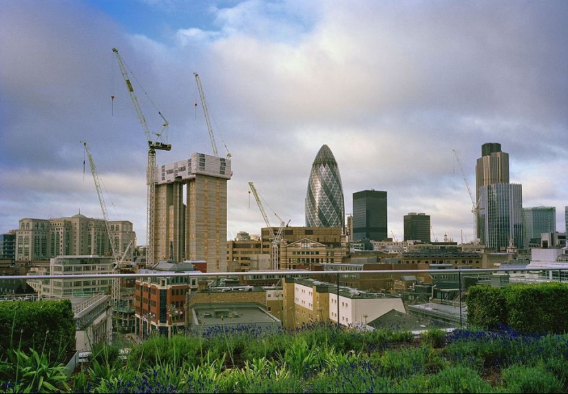 Roof Gardens Roof Gardens