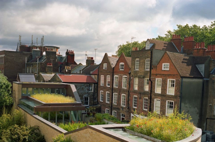 Roof Gardens Roof Gardens