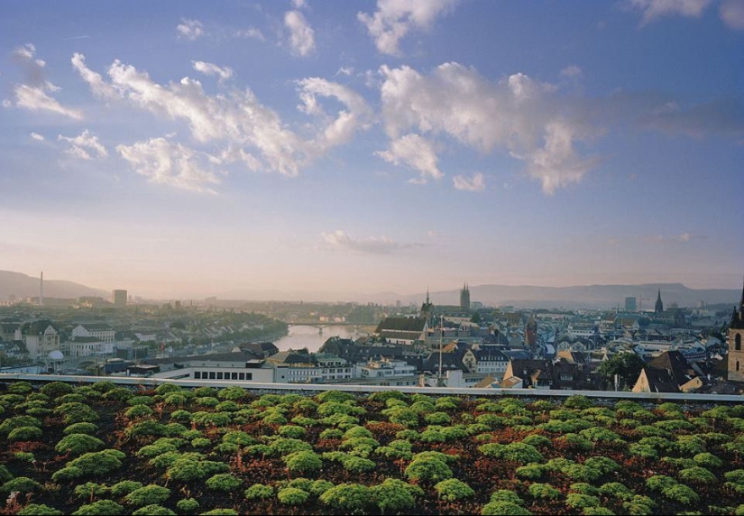 Roof Gardens Roof Gardens