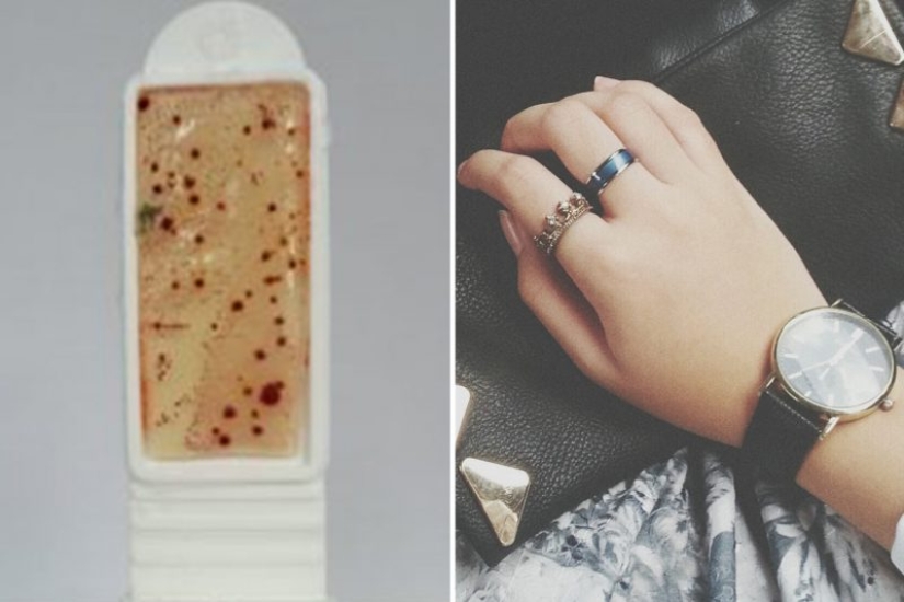 Running time: on the hour 8 times more bacteria than the toilet