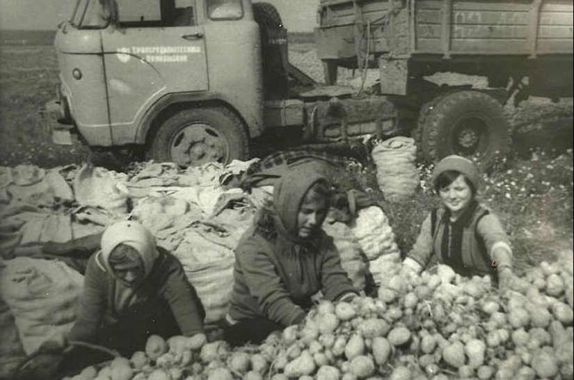 "Russia is outside the law. The bombing will begin in 5 minutes": this and other Reagan jokes "Russia is outside the law. The bombing will begin in 5 minutes": this and other Reagan jokes