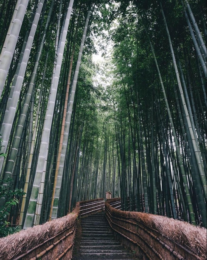 Sabor japonés en las fotos callejeras de Takashi Yasui
