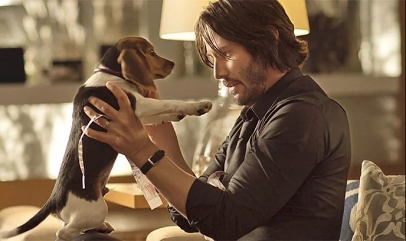 Sacando los pañuelos: las 30 muertes más tristes de personajes de ficción Sacando los pañuelos: las 30 muertes más tristes de personajes de ficción