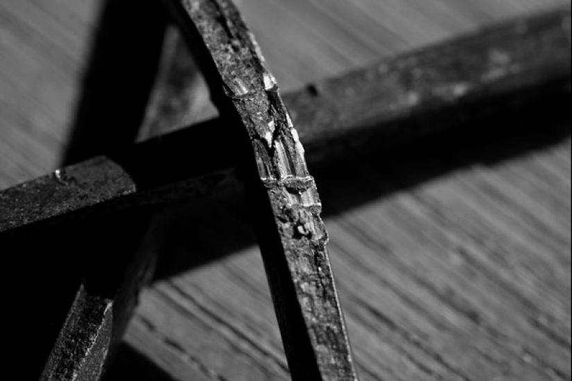 Sal, plumas, conchas: el dinero más inusual en la historia de la humanidad